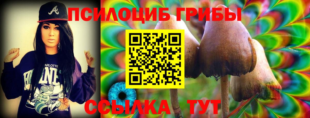 Галлюциногенные грибы MAGIC MUSHROOMS Ефремов