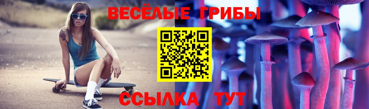 Псилоцибиновые грибы Psilocybe  купить наркотики сайты  Ефремов  Вход с VPN 